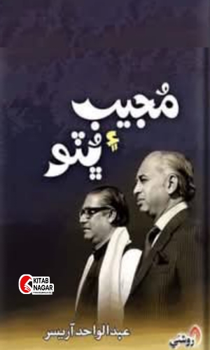 Mujeeb Ain Bhutto by Abdul Wahid Arisar-مجيب ۽ ڀٽو