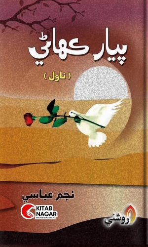 Piyar Kihani by Najam Abbasi Sindhi Novel-پيار ڪهاڻي ناول