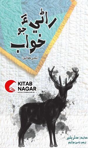 Sindhi Book Rani Jo Khawab-Stories-ڪتاب راڻي جو خواب-ڪهاڻيون