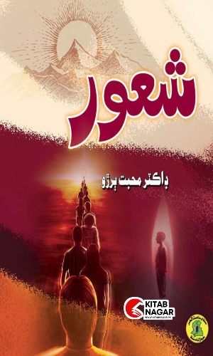Shaoor-Sindhi Book-Writer Dr Muhabat Buriro-ڪتاب شعور-محبت ٻرڙو
